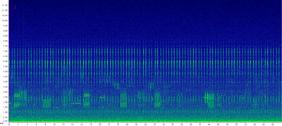 0030-28052016_168_Nachtigall und Wachtelkönig.png