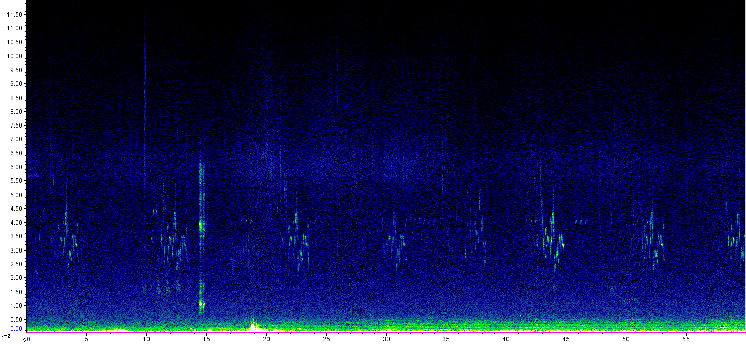 spektrogramm zu audiobeispiel 4