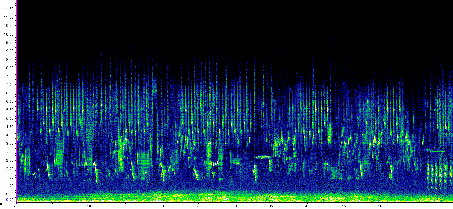 spektrogramm zu audiobeispiel 5