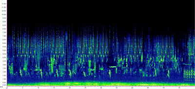 Spektrogramm zu Audiobeispiel 5