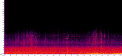 Needles_falling_from_spruce_Feldberg_29072019_1050.png